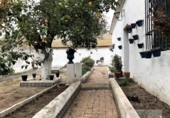 Chalet independiente con terreno en venta en la España, Manzanilla, ref: TR331705 foto