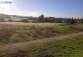 Land suitable for development for sale on España, Mérida, ref: TR219188 photo