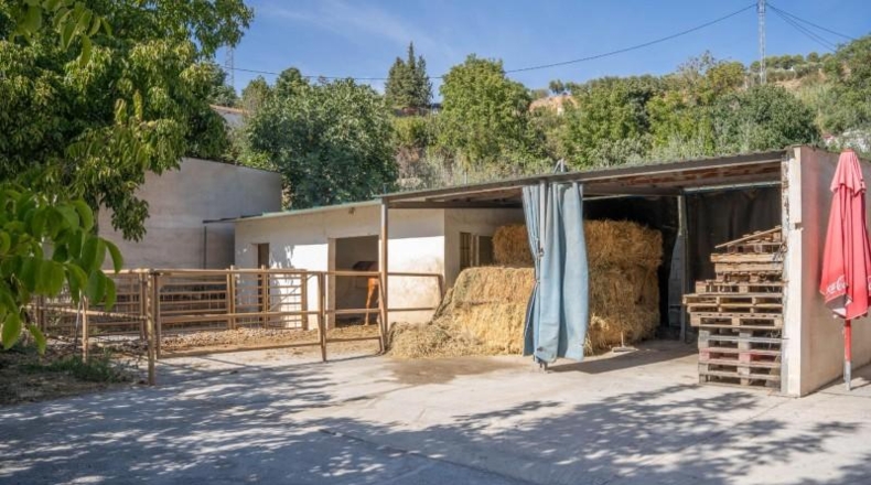 Granada - Huétor Vega - 4200m2