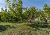 Casa de camp amb terreny en venda a la España, Huétor Vega, ref.: TR367401 foto