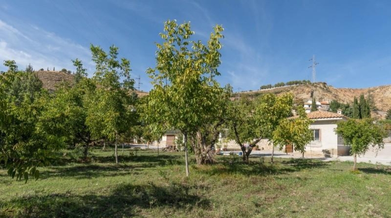 Granada - Huétor Vega - 4200m2