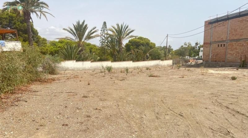 Almeria - Cuevas del Almanzora - 1500m2