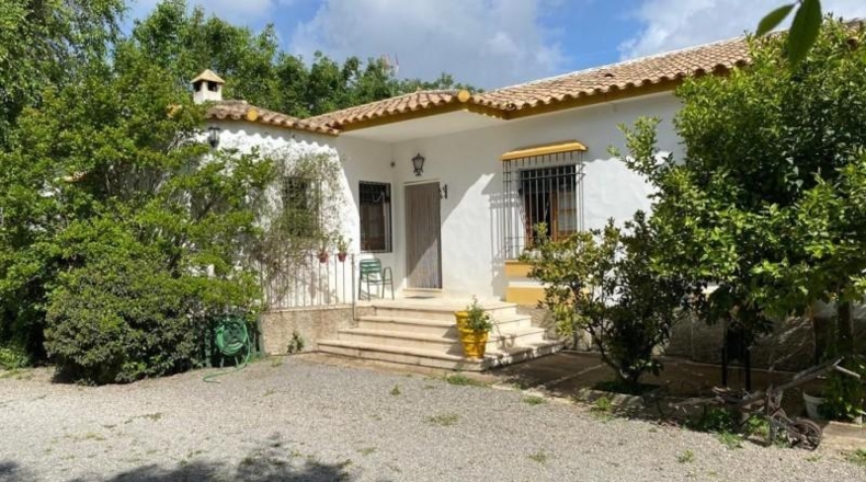 Córdoba - Baena - 6550m2