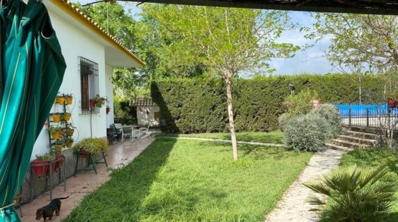 Córdoba - Baena - 6550m2