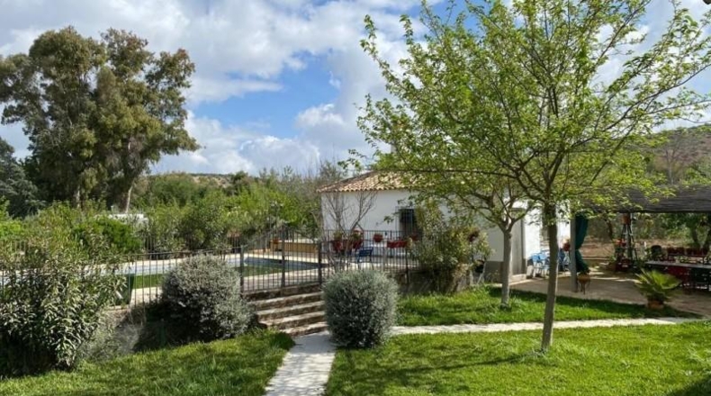 Córdoba - Baena - 6550m2