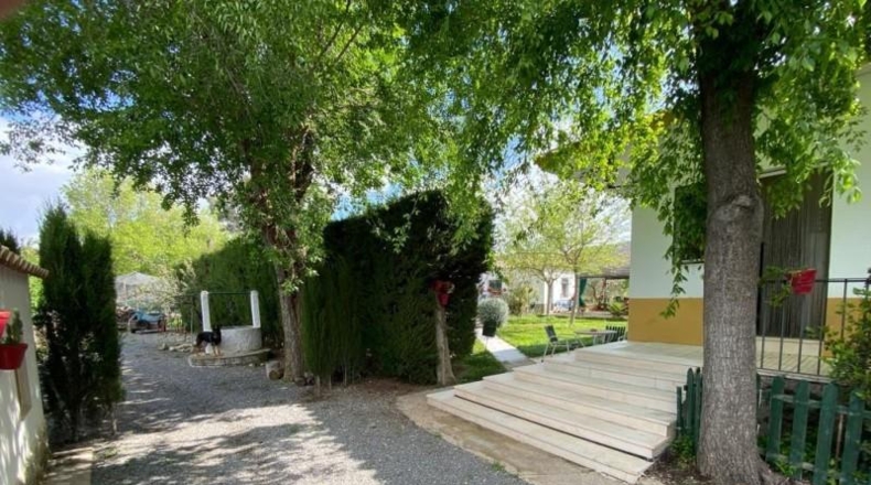 Córdoba - Baena - 6550m2