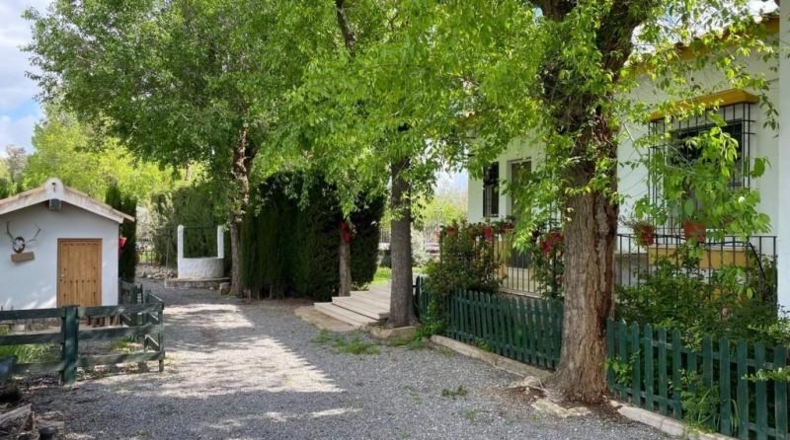 Córdoba - Baena - 6550m2
