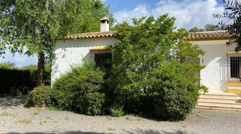 Córdoba - Baena - 6550m2