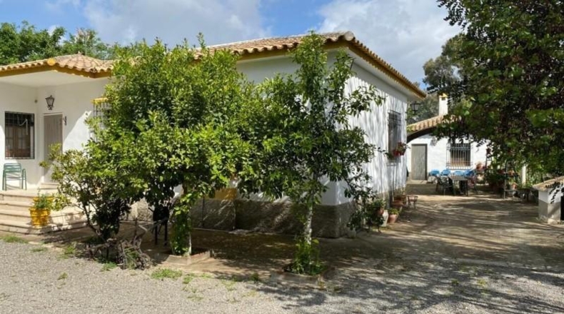 Córdoba - Baena - 6550m2