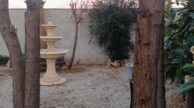 Murcia - Molina de Segura - 800m2