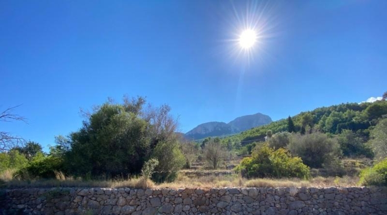 Alicante - Benisa - 17000m2
