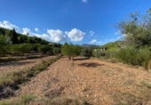 Terreny no urbanitzable en venda a la España, Benissa, ref.: TR113316 foto