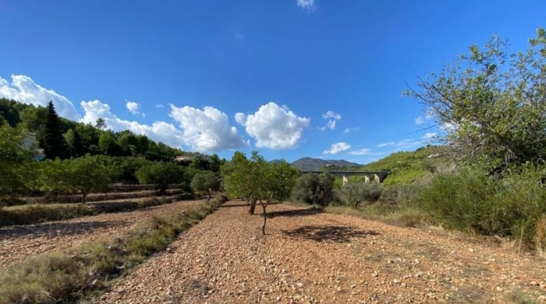 Alicante - Benisa - 17000m2