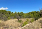 Terreny no urbanitzable en venda a la España, Benissa, ref.: TR113316 foto