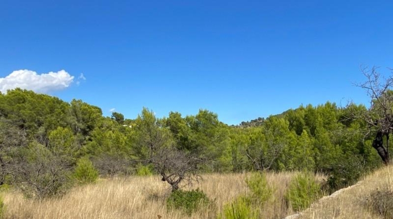 Alicante - Benisa - 17000m2