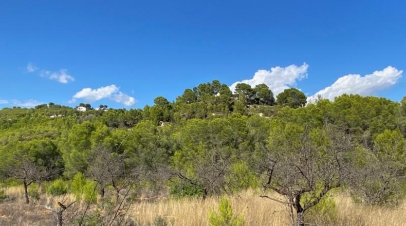 Alicante - Benisa - 17000m2