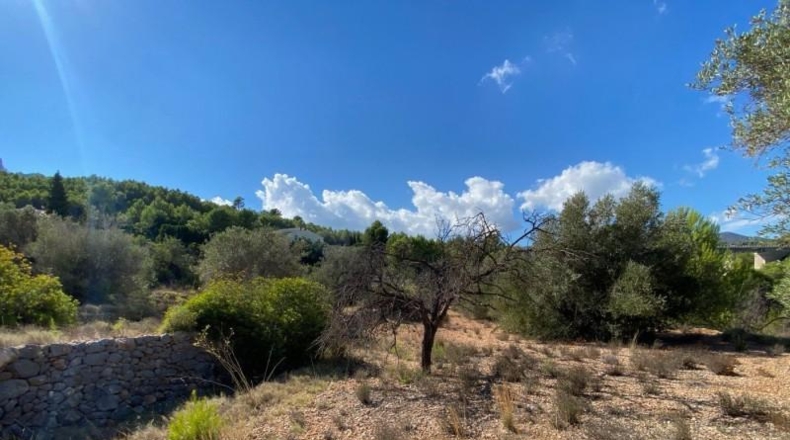 Alicante - Benisa - 17000m2