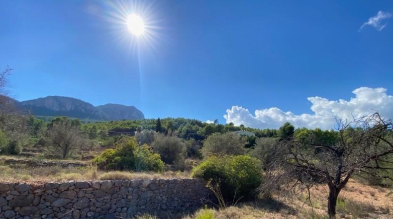 Alicante - Benisa - 17000m2