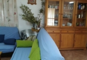 Casa de campo con terreno en venta en la España, Molina de Segura, ref: TR141646 foto