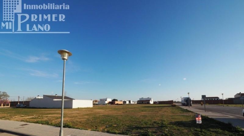 Ciudad Real - Tomelloso - 659m2
