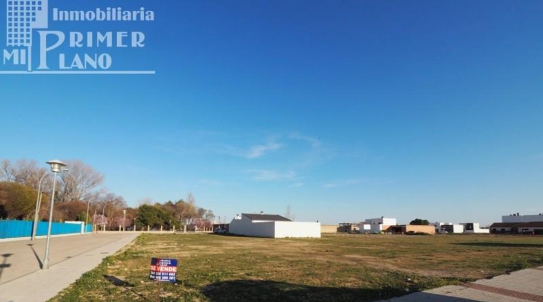 Ciudad Real - Tomelloso - 659m2