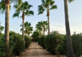Detached villa with land for sale on España, Villalba del Alcor, ref: TR142206 photo