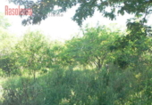 Sòl urbà en venda a la España, Mugardos, ref.: TR120490 foto