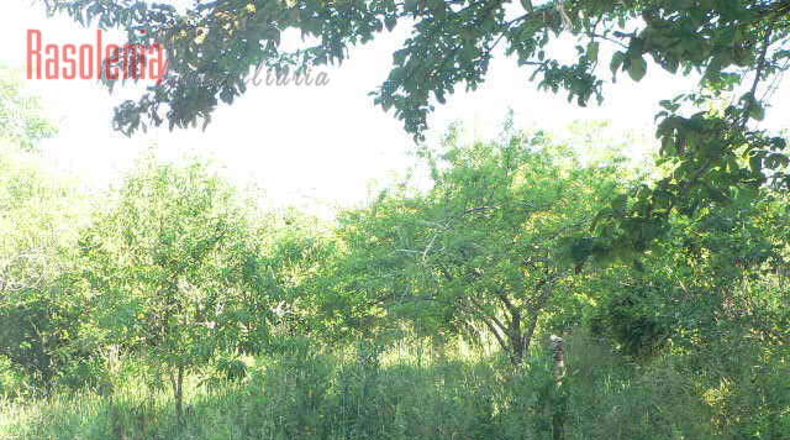 La Corunya - Mugardos - 3621m2