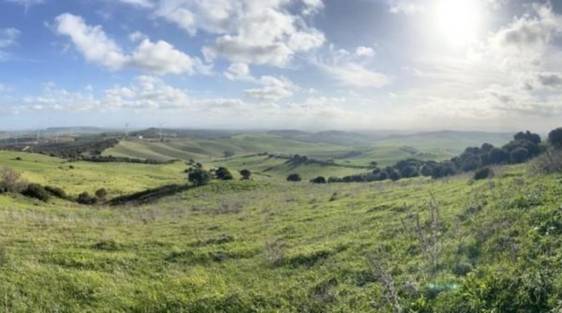 Cádiz - Vejer de la Frontera - 26200m2