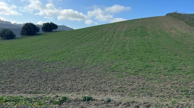 Cádiz - Vejer de la Frontera - 26200m2