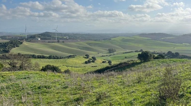 Cádiz - Vejer de la Frontera - 26200m2