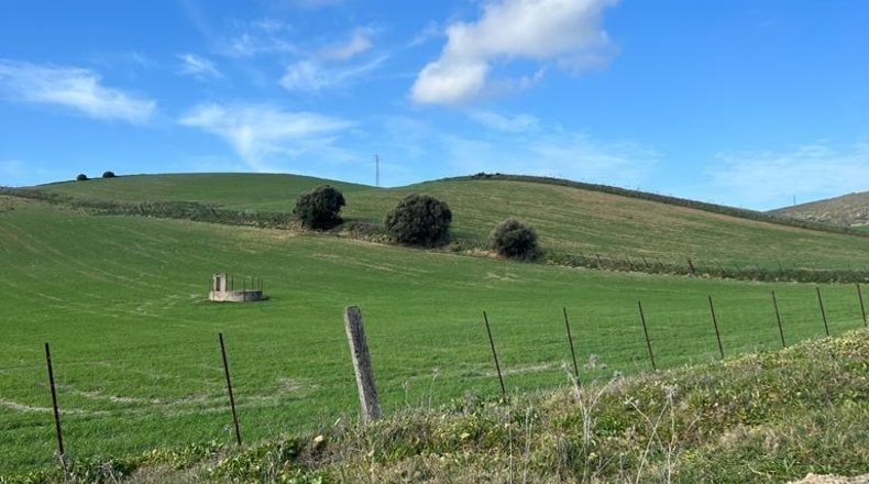Cádiz - Vejer de la Frontera - 26200m2