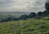 Xalet independent amb terreny en venda a la España, Vejer de la Frontera, ref.: TR143027 foto