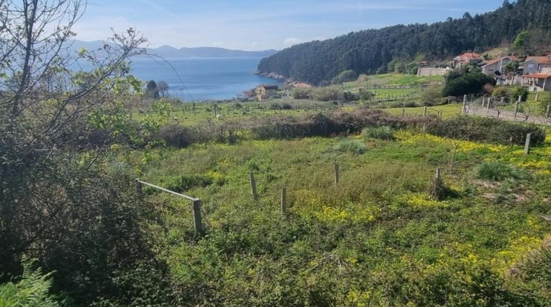 Pontevedra - Sanxenxo - 1345m2
