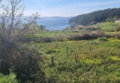 Land suitable for development for sale on España, Sanxenxo, ref: TR121038 photo