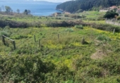 Land suitable for development for sale on España, Sanxenxo, ref: TR121038 photo