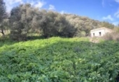 Terreny no urbanitzable en venda a la España, Vejer de la Frontera, ref.: TR121391 foto