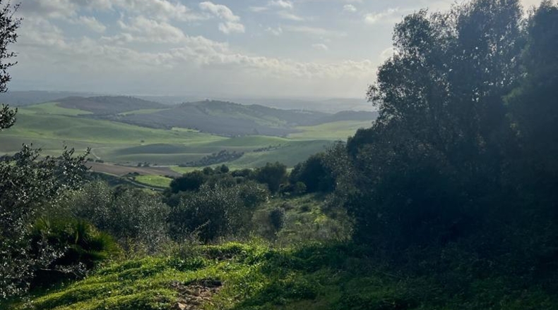 Cádiz - Vejer de la Frontera - 26000m2