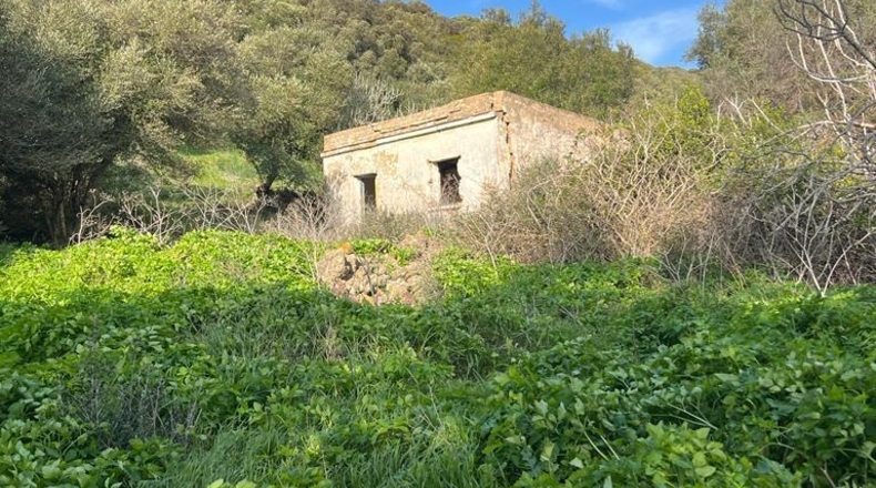 Cádiz - Vejer de la Frontera - 26000m2