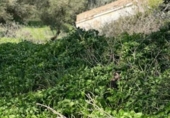 Terreny no urbanitzable en venda a la España, Vejer de la Frontera, ref.: TR121391 foto
