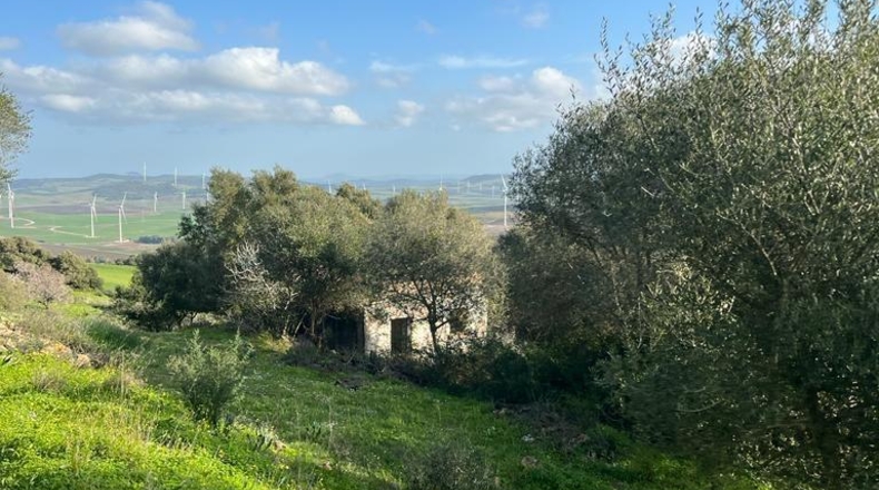 Cádiz - Vejer de la Frontera - 26000m2