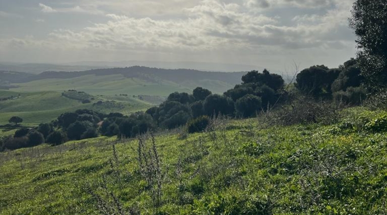Cádiz - Vejer de la Frontera - 26000m2