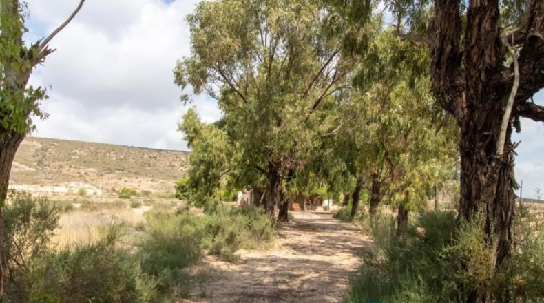Alicante - Alicante - 30000m2