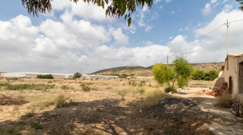 Alicante - Alicante - 30000m2
