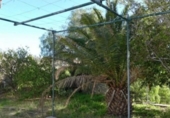 Casa de camp amb terreny en venda a la España, Gualchos, ref.: TR151170 foto