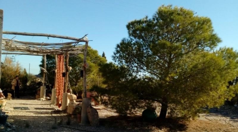 Murcia - Águilas - 10350m2