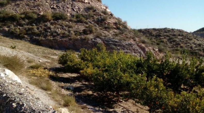 Murcia - Águilas - 10350m2