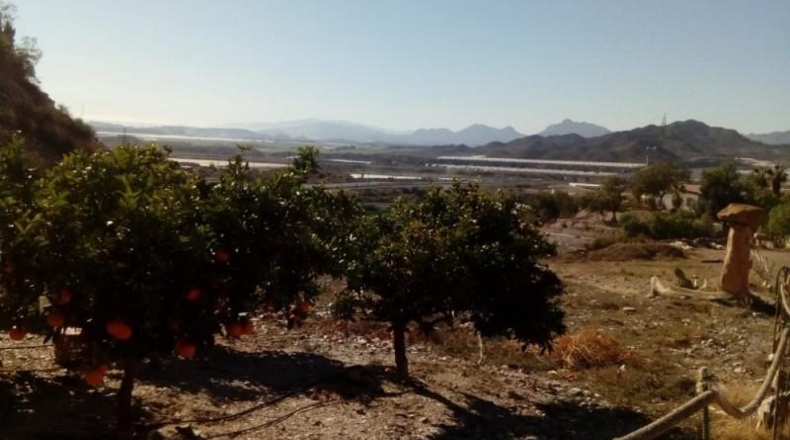 Murcia - Águilas - 10350m2