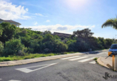 Land suitable for development for sale on España, Pino Alto-Santa Úrsula, ref: TR113484 photo