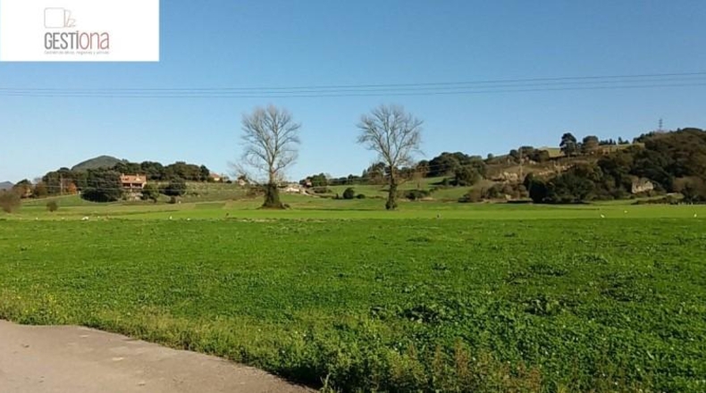 Cantàbria - Bárcena de Cicero - 66650m2